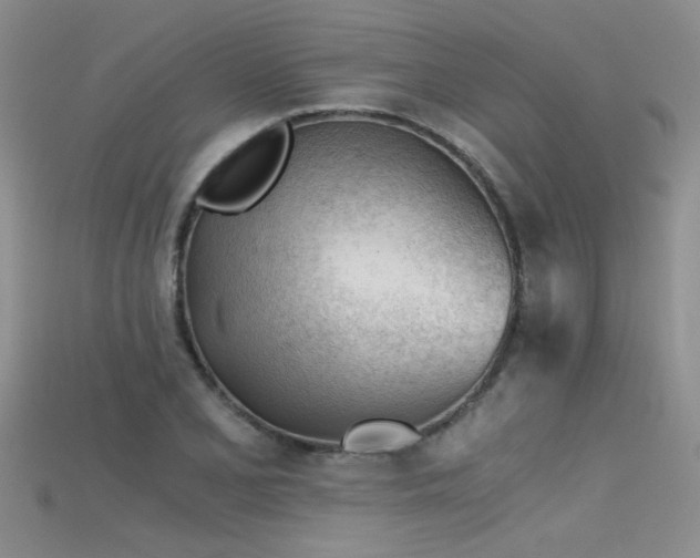 X0000115681077200911121241