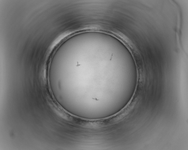 X0000115681078200911121241