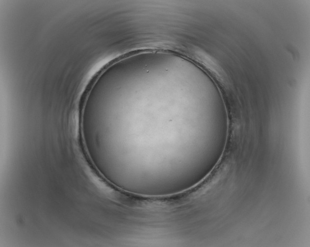 X0000115681079200911121241