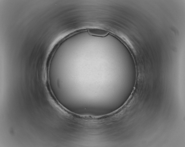 X0000115681080200911121241