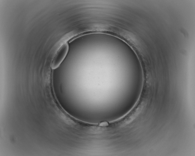 X0000115681081200911121241