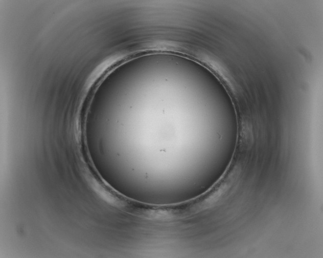 X0000115681082200911121241