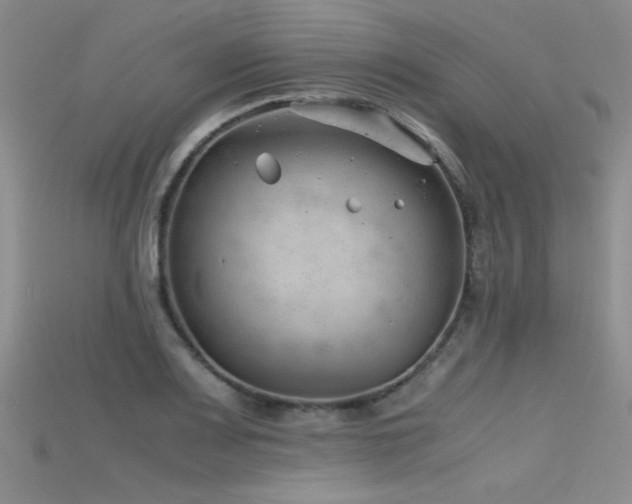 X0000115681083200911121241