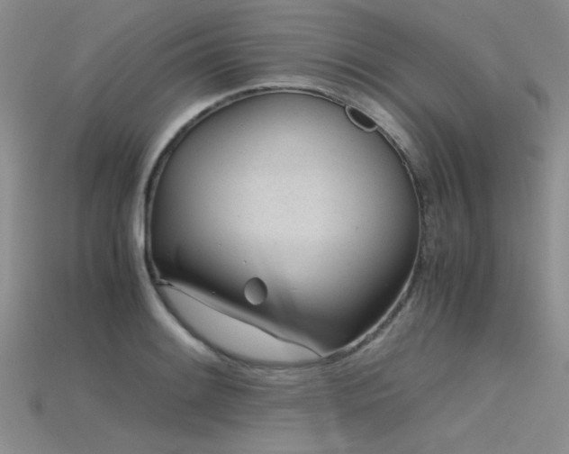 X0000115681084200911121241