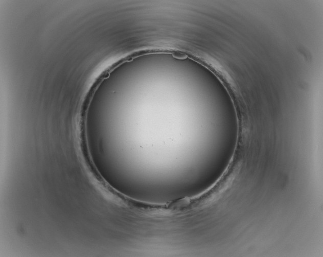 X0000115681085200911121241