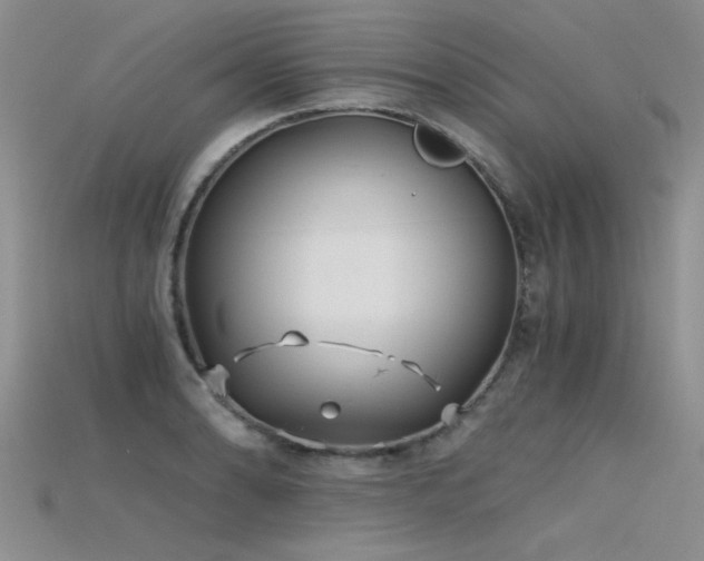 X0000115681086200911121241