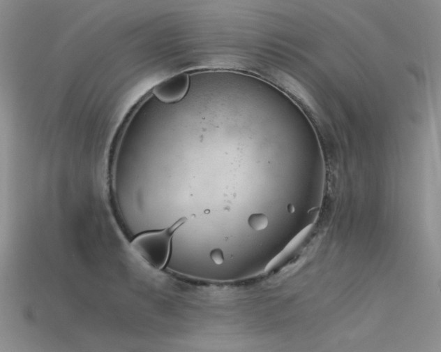 X0000115681087200911121241