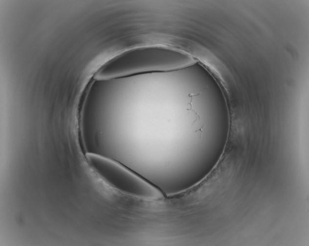 X0000115681088200911121241