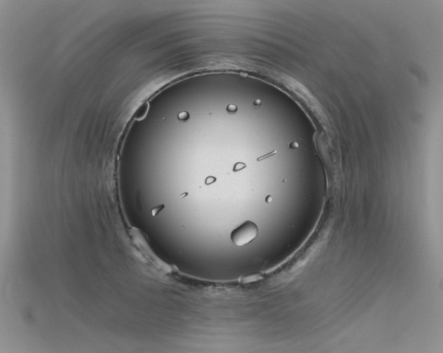 X0000115681089200911121241