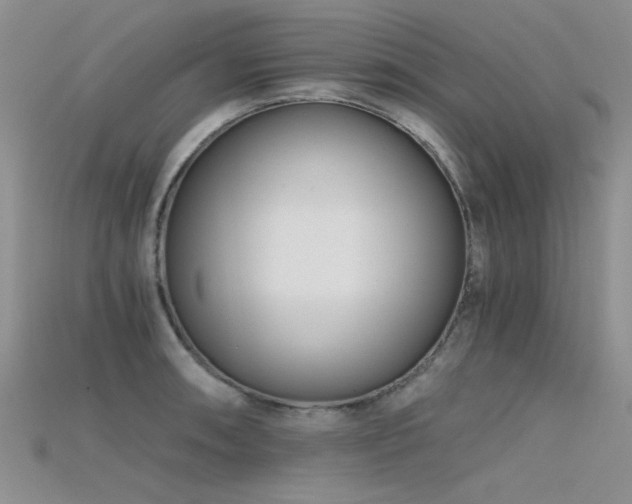 X0000115681090200911121241