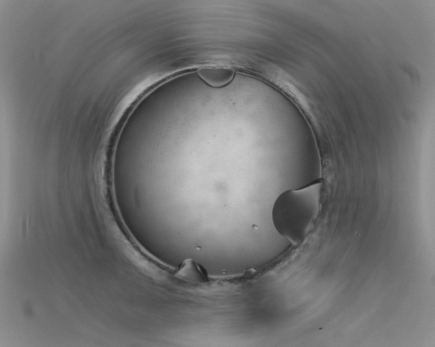 X0000115681091200911121241