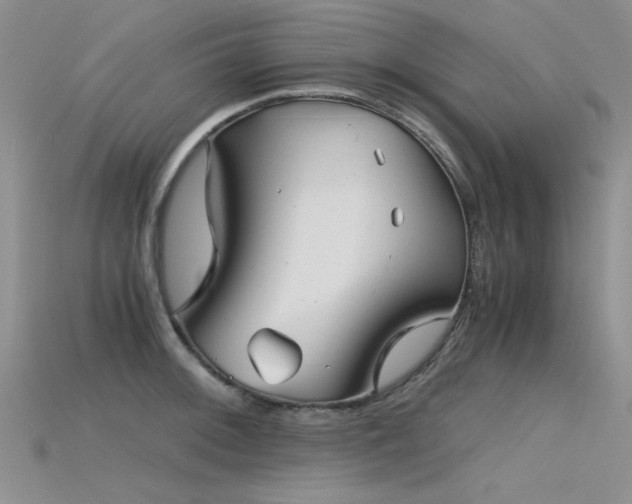 X0000115681092200911121241