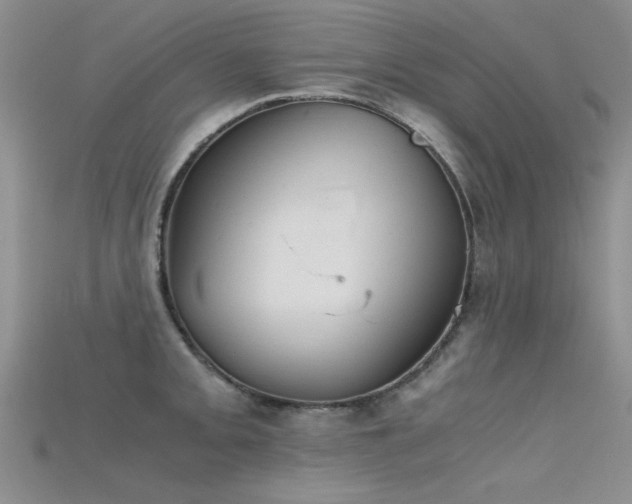 X0000115681093200911121241