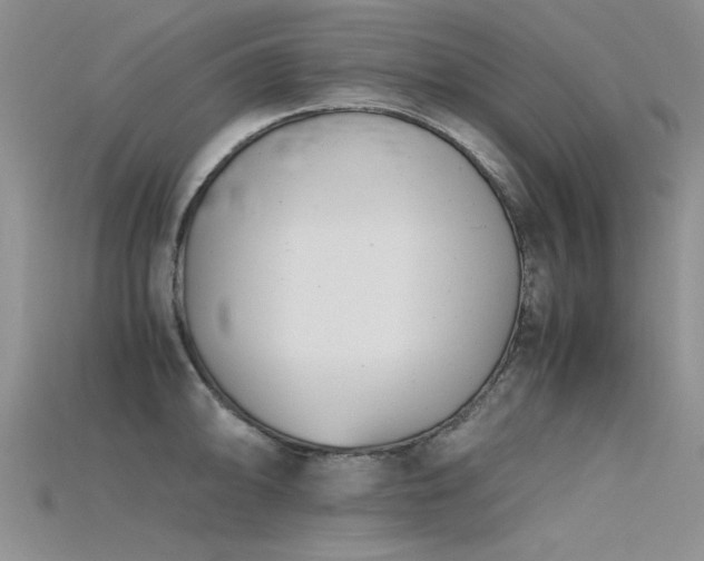 X0000115681094200911121241