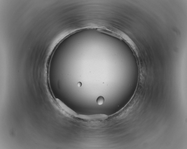 X0000115681096200911121241