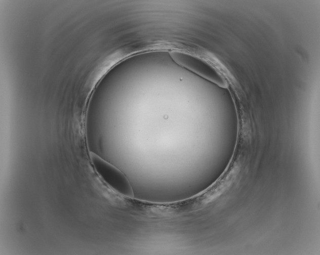 X0000115681097200911121240