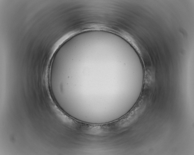 X0000115681098200911121240