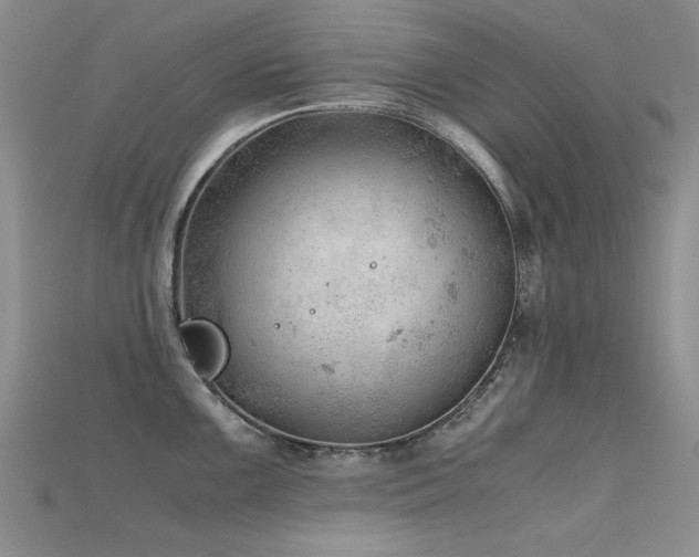 X0000115681099200911121240