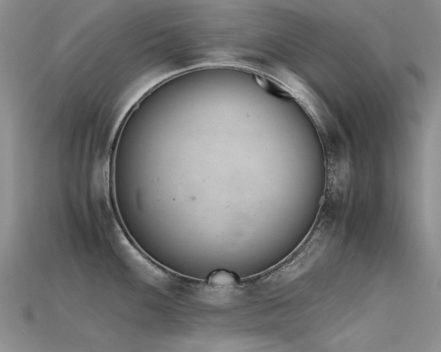 X0000115681100200911121240