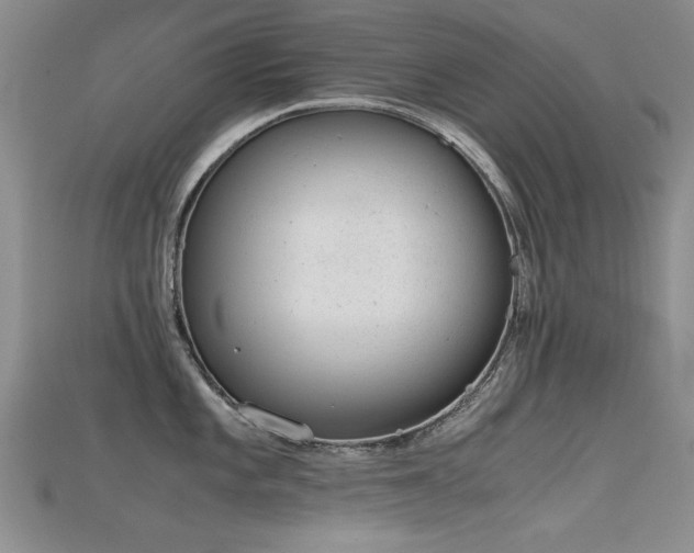 X0000115681101200911121240