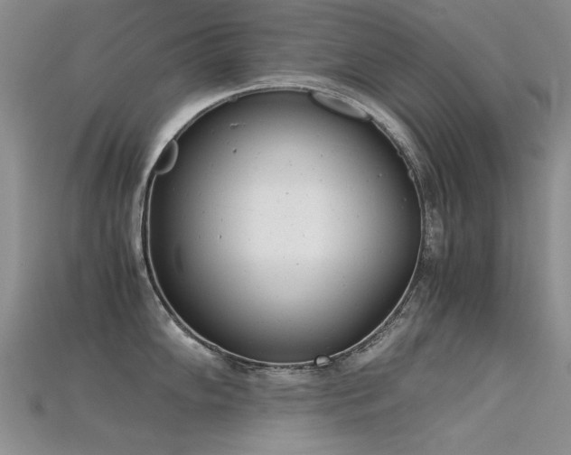 X0000115681102200911121240