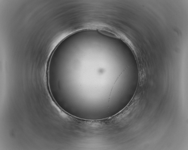 X0000115681103200911121240