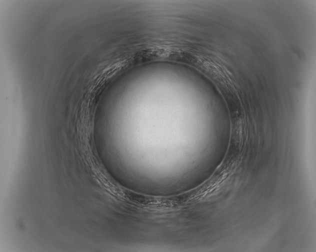 X0000115681105200911121240