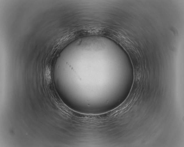 X0000115681106200911121240