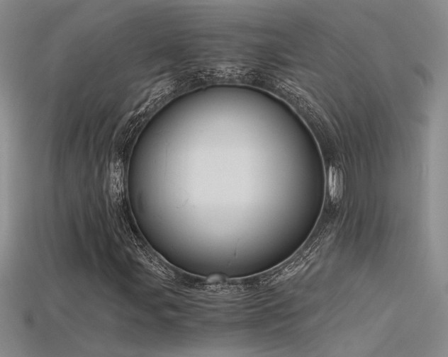 X0000115681107200911121240