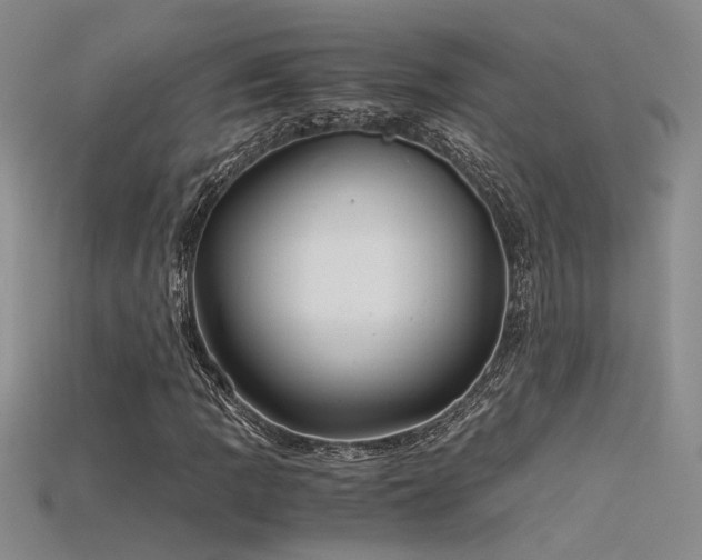 X0000115681109200911121240