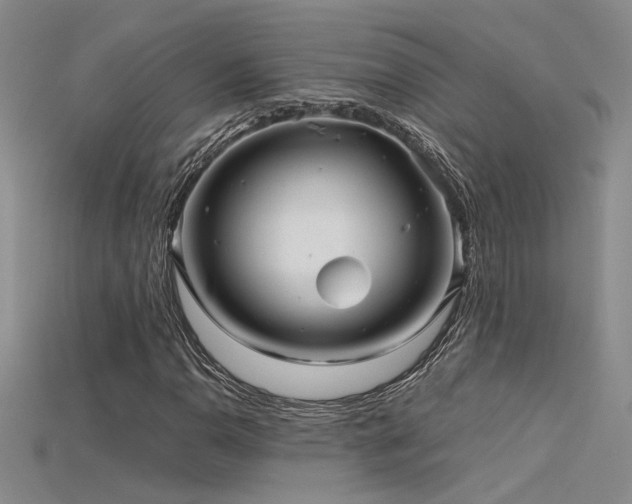 X0000115681110200911121240