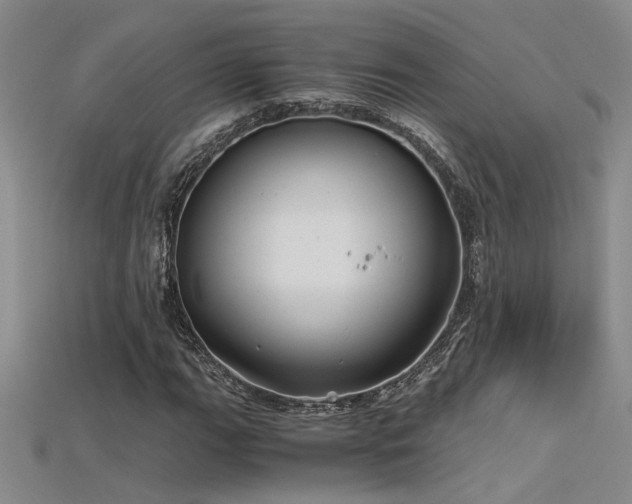 X0000115681111200911121240