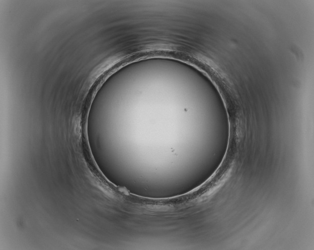 X0000115681113200911121240