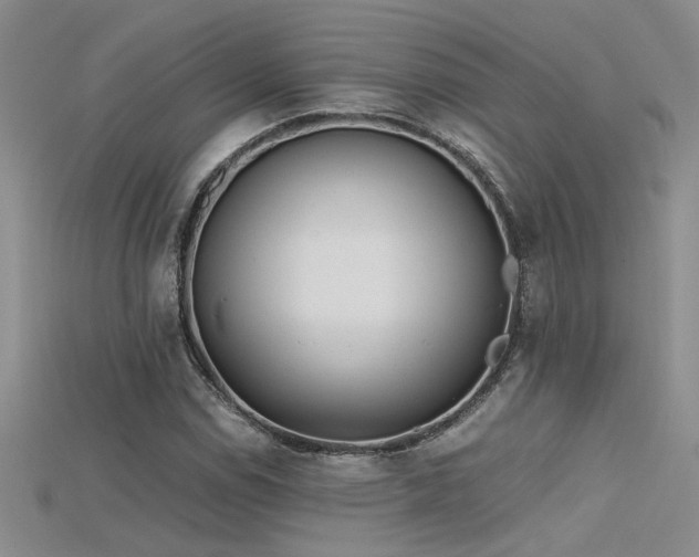 X0000115681114200911121240