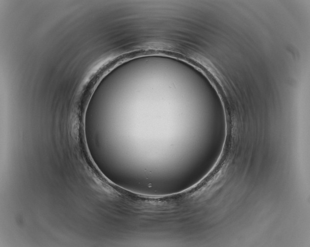 X0000115681115200911121240