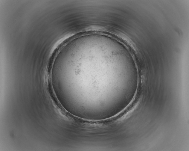 X0000115681117200911121240