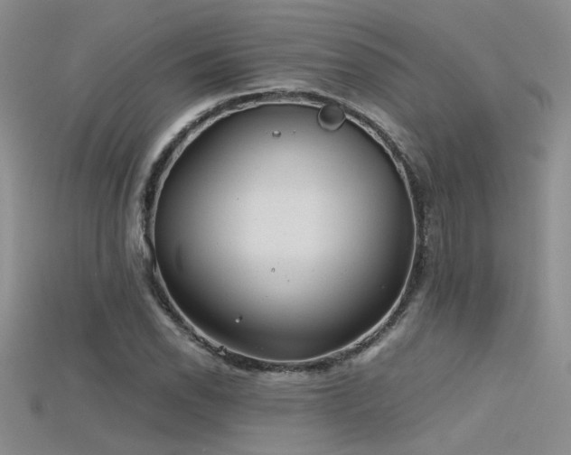 X0000115681118200911121240