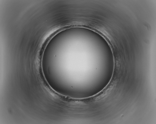 X0000115681119200911121240