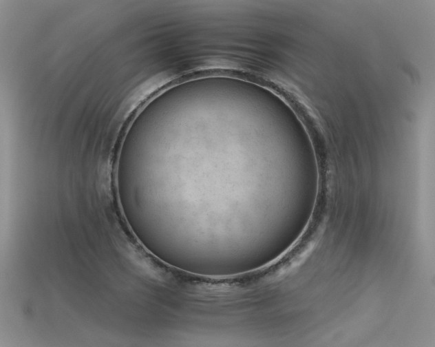 X0000115681121200911121240