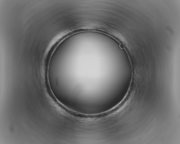 X0000115681122200911121240