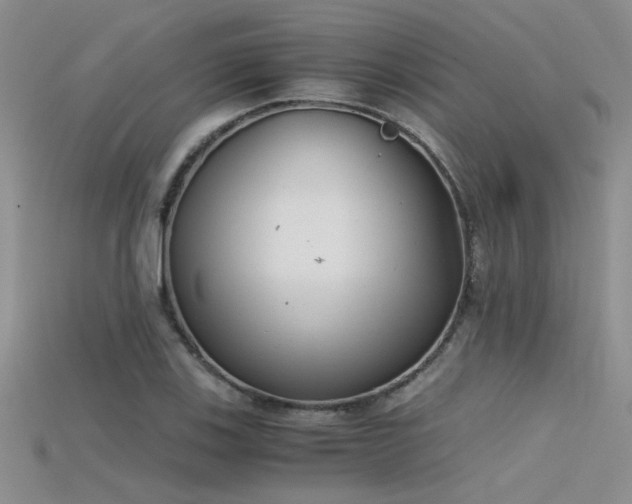 X0000115681123200911121240