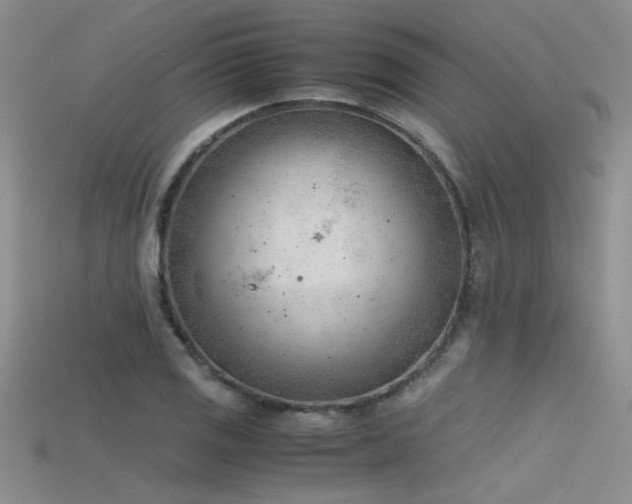 X0000115681125200911121240