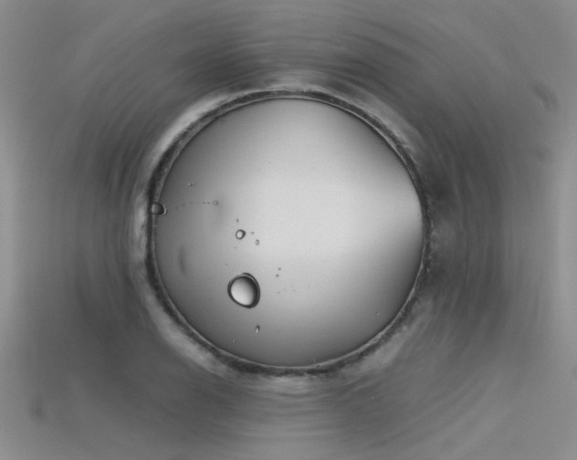 X0000115681126200911121240