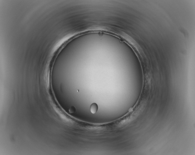 X0000115681127200911121240