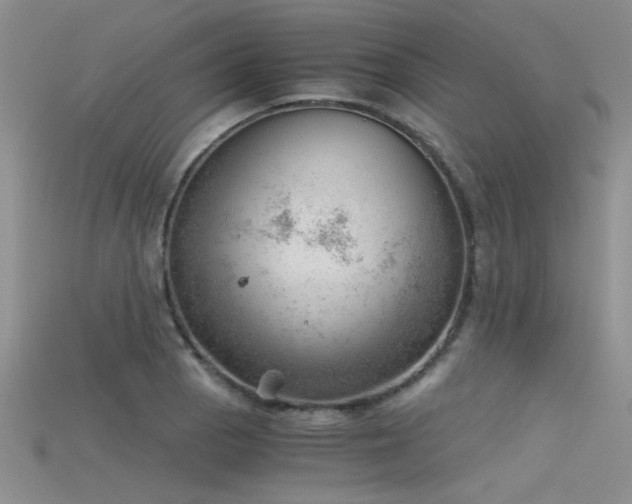 X0000115681129200911121240