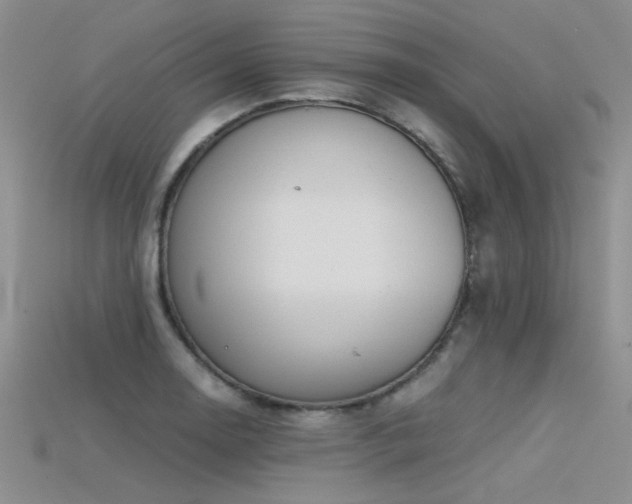 X0000115681130200911121240