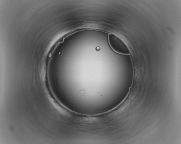 X0000115681131200911121240