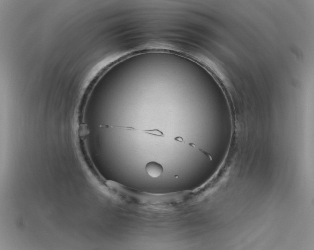 X0000115681133200911121240