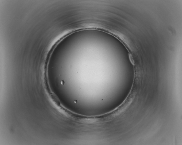 X0000115681134200911121240