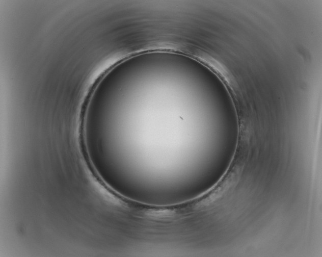 X0000115681135200911121240